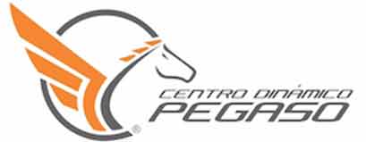 pegaso